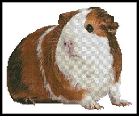 Guinea Pig - Artecy Cross Stitch