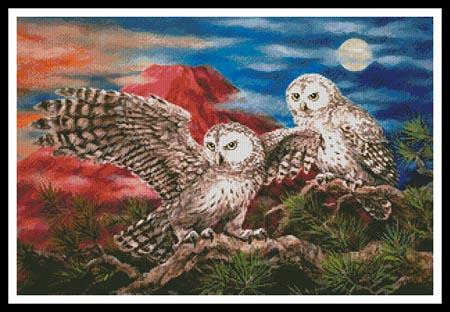 Pair Of Owls - Artecy Cross Stitch