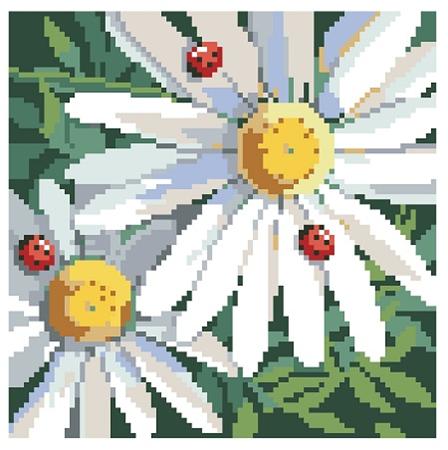 Daisies - Kooler Design Studio