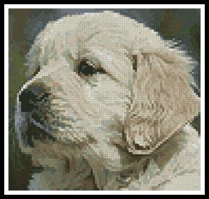 Mini Golden Retriever Puppy - Artecy Cross Stitch
