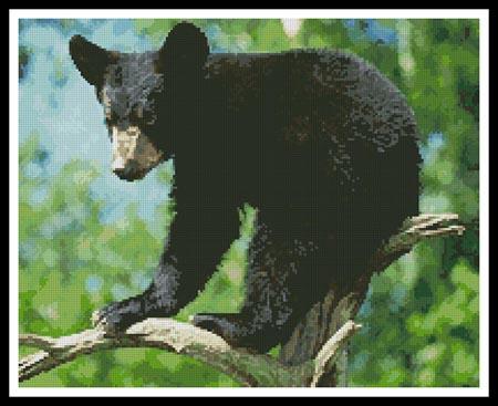 Black Bear Cub - Artecy Cross Stitch