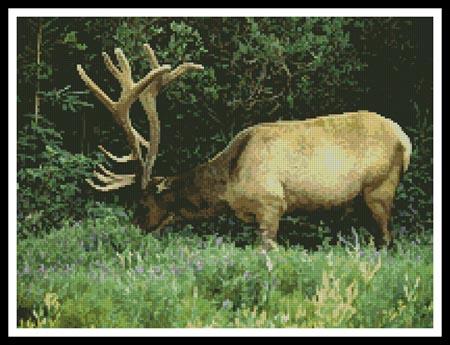 Elk - Artecy Cross Stitch