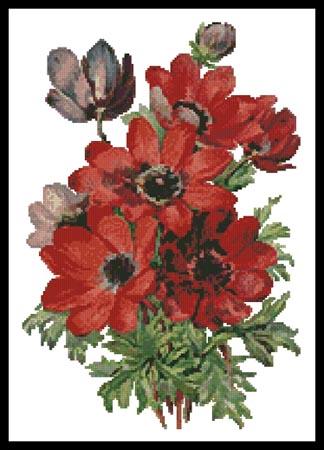 Anemones - Artecy Cross Stitch