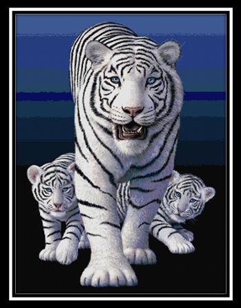 White Tigers - Cody Country Crossstitch