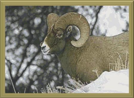 On The Lookout - Cody Country Crossstitch