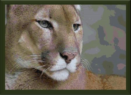 Protecting - Cody Country Crossstitch