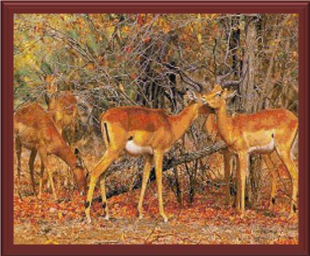 Fall Nature - Cody Country Crossstitch