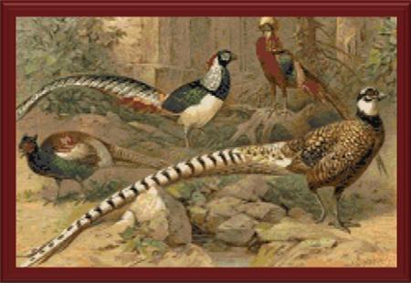 Pheasants Galore - Cody Country Crossstitch