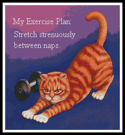 Exercise Plan - Artecy Cross Stitch