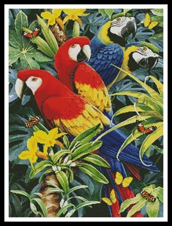 Tropical Macaws - Artecy Cross Stitch