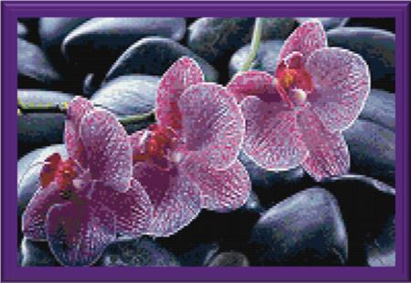 On The Rocks - Cody Country Crossstitch