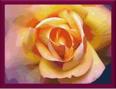 Colorful Rose - Cody Country Crossstitch
