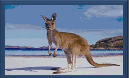 Australian Wildlife - Cody Country Crossstitch