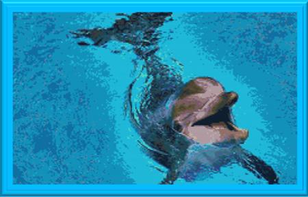 Dolphin Tale - Cody Country Crossstitch