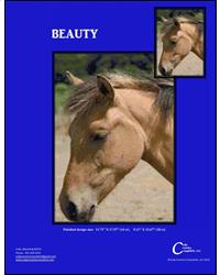 Beauty - Cody Country Crossstitch