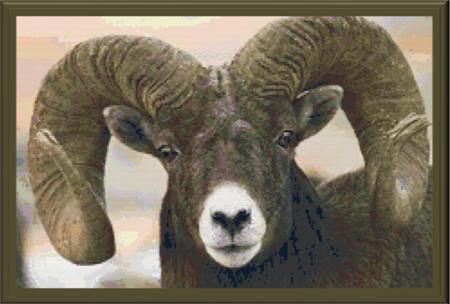 Our Beautiful Wild - Cody Country Crossstitch