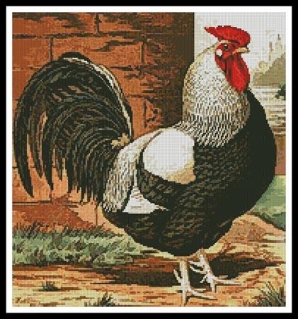 Rooster 1 - Artecy Cross Stitch