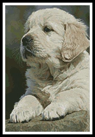 Golden Retriever Puppy - Artecy Cross Stitch