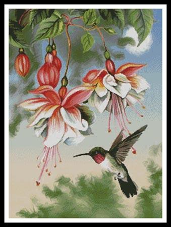 Fuschia And Hummingbird - Artecy Cross Stitch