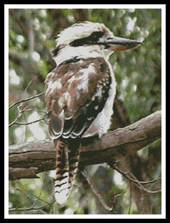 Kookaburra - Artecy Cross Stitch