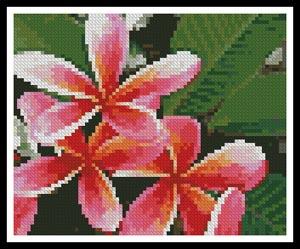Mini Pink Frangipanis - Artecy Cross Stitch