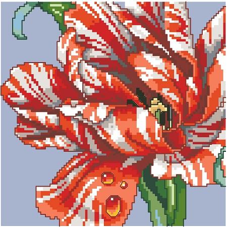 Striped Parrot Tulip Big Stitch - Kooler Design Studio