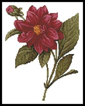 Mini Dahlia Double - Artecy Cross Stitch