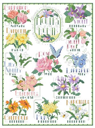 Flowers Of The Month - Kooler Design Studio