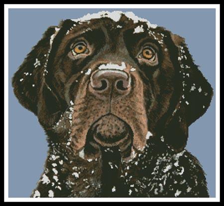 Snow Dog - Artecy Cross Stitch