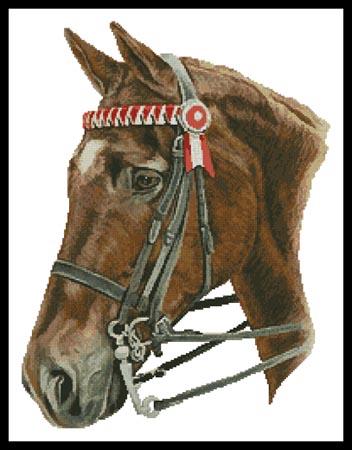 Horse Profile - Artecy Cross Stitch