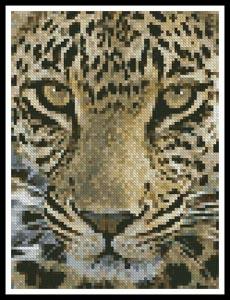Mini Leopard Close Up - Artecy Cross Stitch