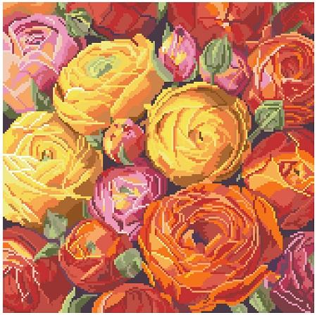 Ranunculus - Kooler Design Studio