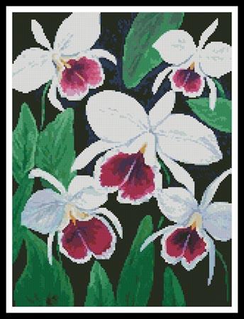 Cattleya Orchids - Artecy Cross Stitch