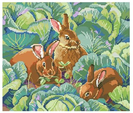 Bunny's Cabbage Garden - Kooler Design Studio