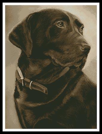 Chocolate Labrador - Artecy Cross Stitch
