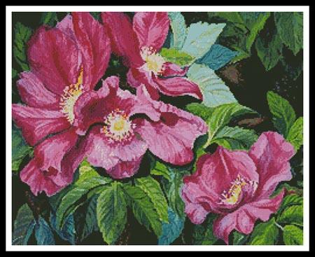 Wild Red Roses - Artecy Cross Stitch