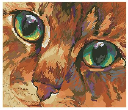 Cat's Eyes - Kooler Design Studio