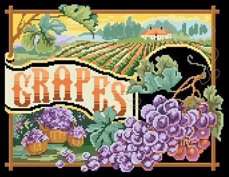 Grapes - Kooler Design Studio