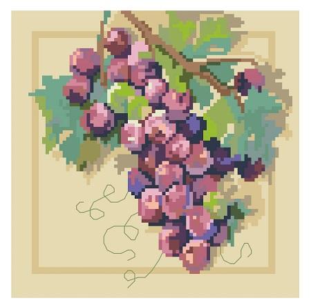 Grapes On Vine Big Stitch - Kooler Design Studio