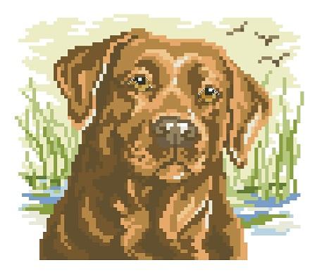 Labrador Big Stitch - Kooler Design Studio
