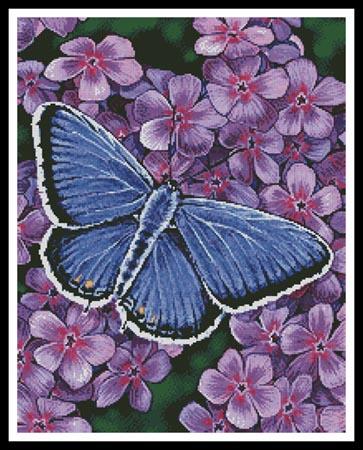 Eastern Tailed Blue Butterfly - Artecy Cross Stitch