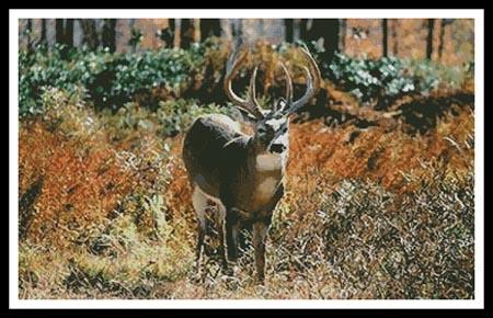 Deer In Forest - Artecy Cross Stitch