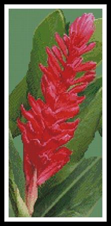 Red Ginger Blossom - Artecy Cross Stitch