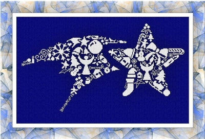 Comet Star - Alessandra Adelaide Needleworks