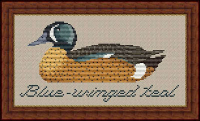 Blue Winged Teal - Whispered by the Wind