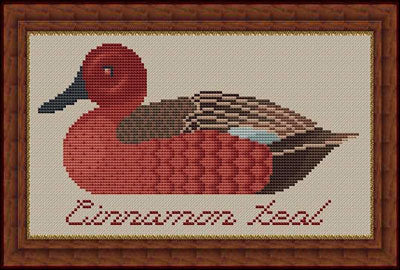 Cinnamon Teal - Whispered by the Wind