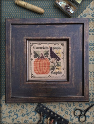 Pumpkin, Botanical Stitches - Drawn Thread