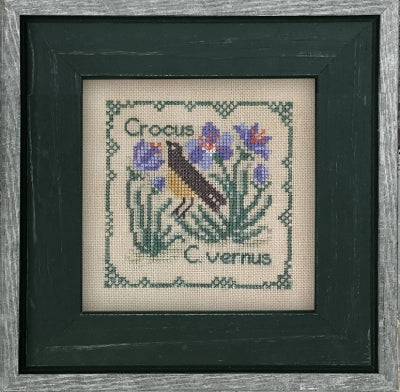 Crocus Vernus - Drawn Thread