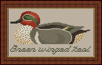 Green Winged Teal - Whispered by the Wind