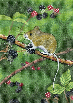 Wood Mouse, Nigel Artingstall Wildlife - Heritage Crafts